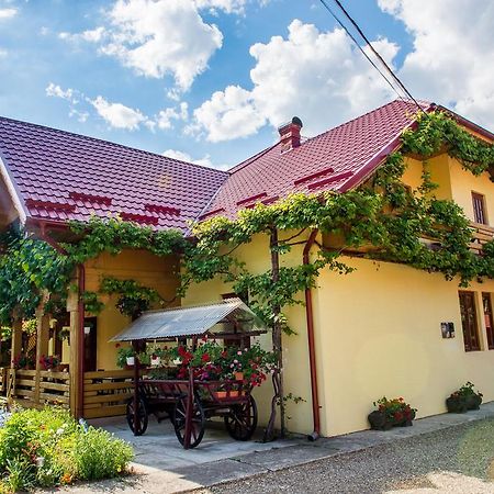 Casa Andreea Hotel Sucevita Kültér fotó
