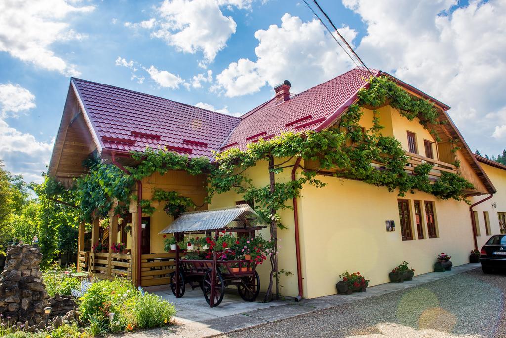 Casa Andreea Hotel Sucevita Kültér fotó